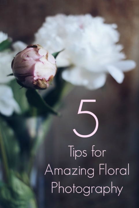 Floral Tips for Flowers Peony